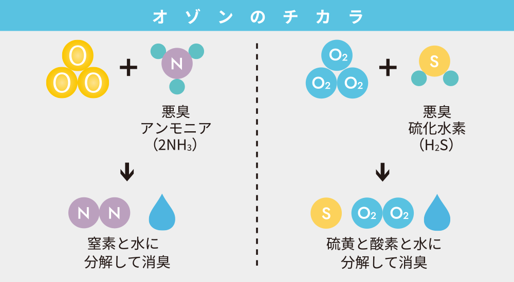 オゾンのチカラ