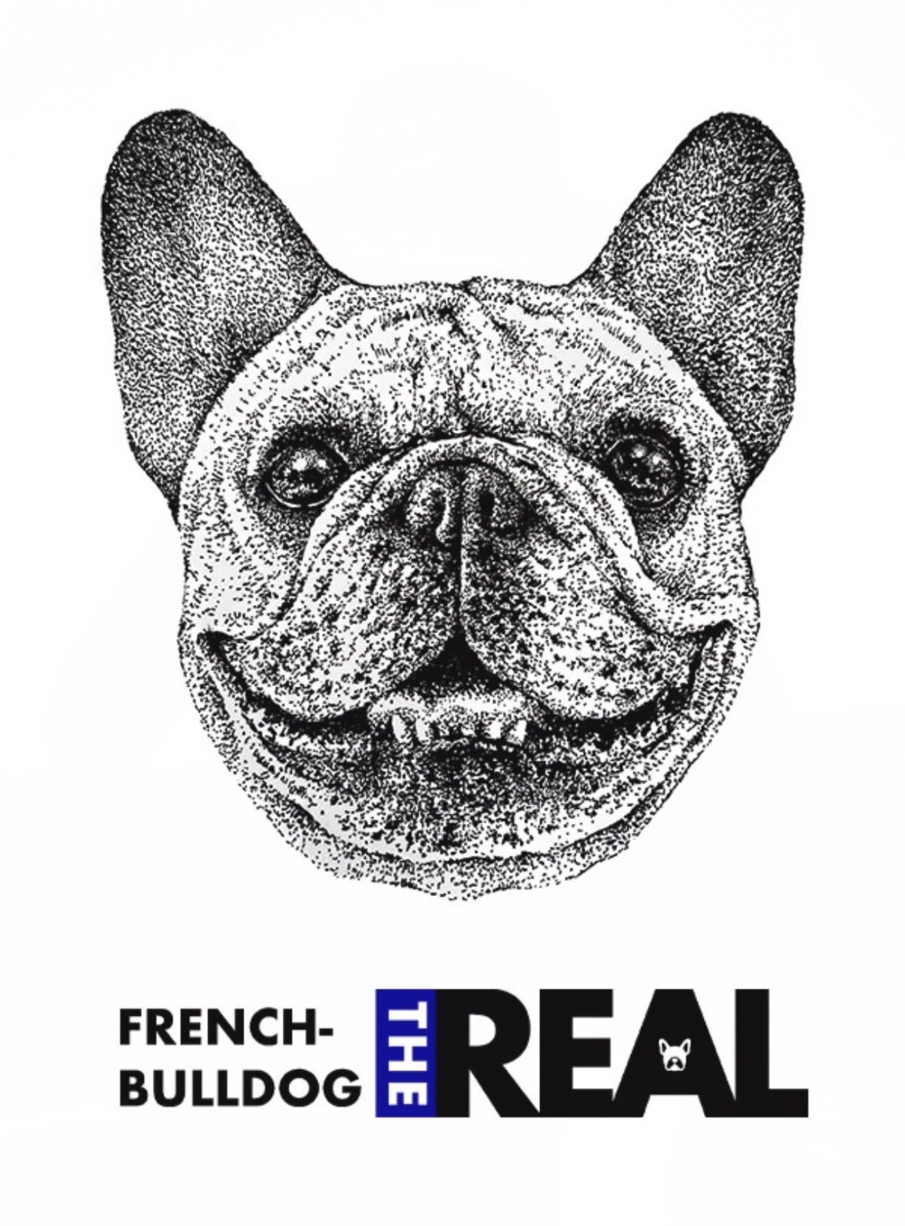 メディア掲載：「1万頭に会い、1000人以上のオーナーと話してきた編集長が本気で選んだ空気」